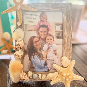 Seashell Decor
