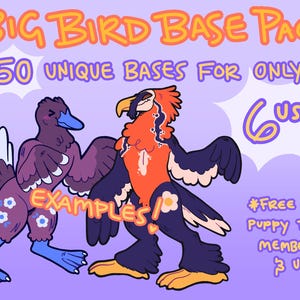 May include: A digital art graphic with the text "BIG BIRD BASE PACK" and "50 UNIQUE BASES FOR ONLY: 6 USD!". The image features two cartoon bird characters in purple, orange, and blue colors, with the word "EXAMPLES" in an orange banner.