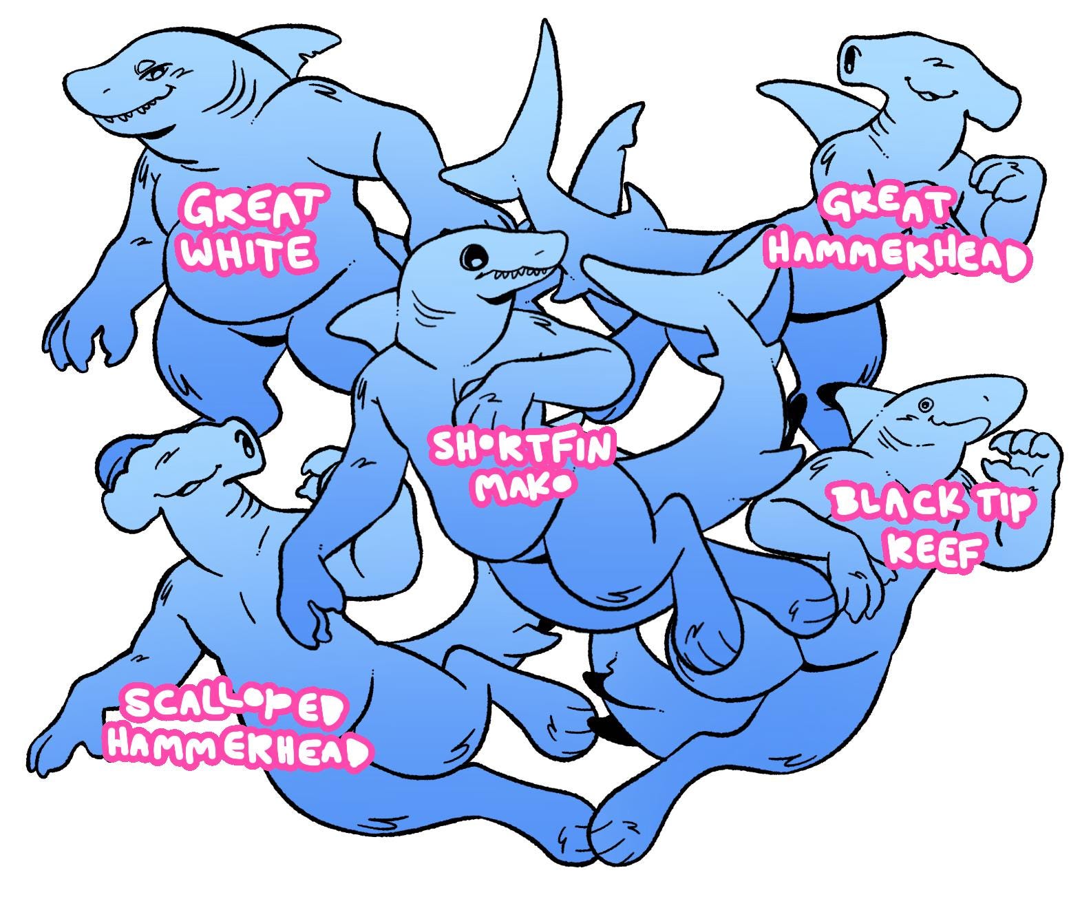 Creative Shark' Base Shark Base: 30 Unique Species, PSD File + Procreate Brush (furry Adopt ...