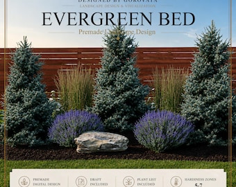 Evergreen Landscape Design | Landscape Premade | Plant List & Plan