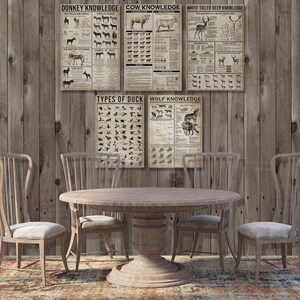 Interior Mockup, Rocky Ranch Dining Room, Kitchen Mockup, Rustic Mockup ...