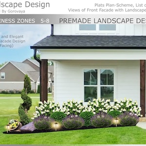 Topiary Landscape: Zone 5-8. Simple and Clean Landscape, Ready-Made Landscape Package, Hydrangea Front Yard, Blooming Garden Design