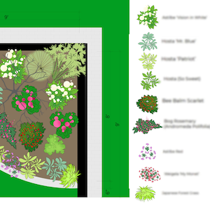 May include: A landscape design plan for a corner garden bed measuring 11 feet by 8 feet. The illustration features a top-down view of various plants arranged in a curved layout, accompanied by a legend listing plant names and their symbols.