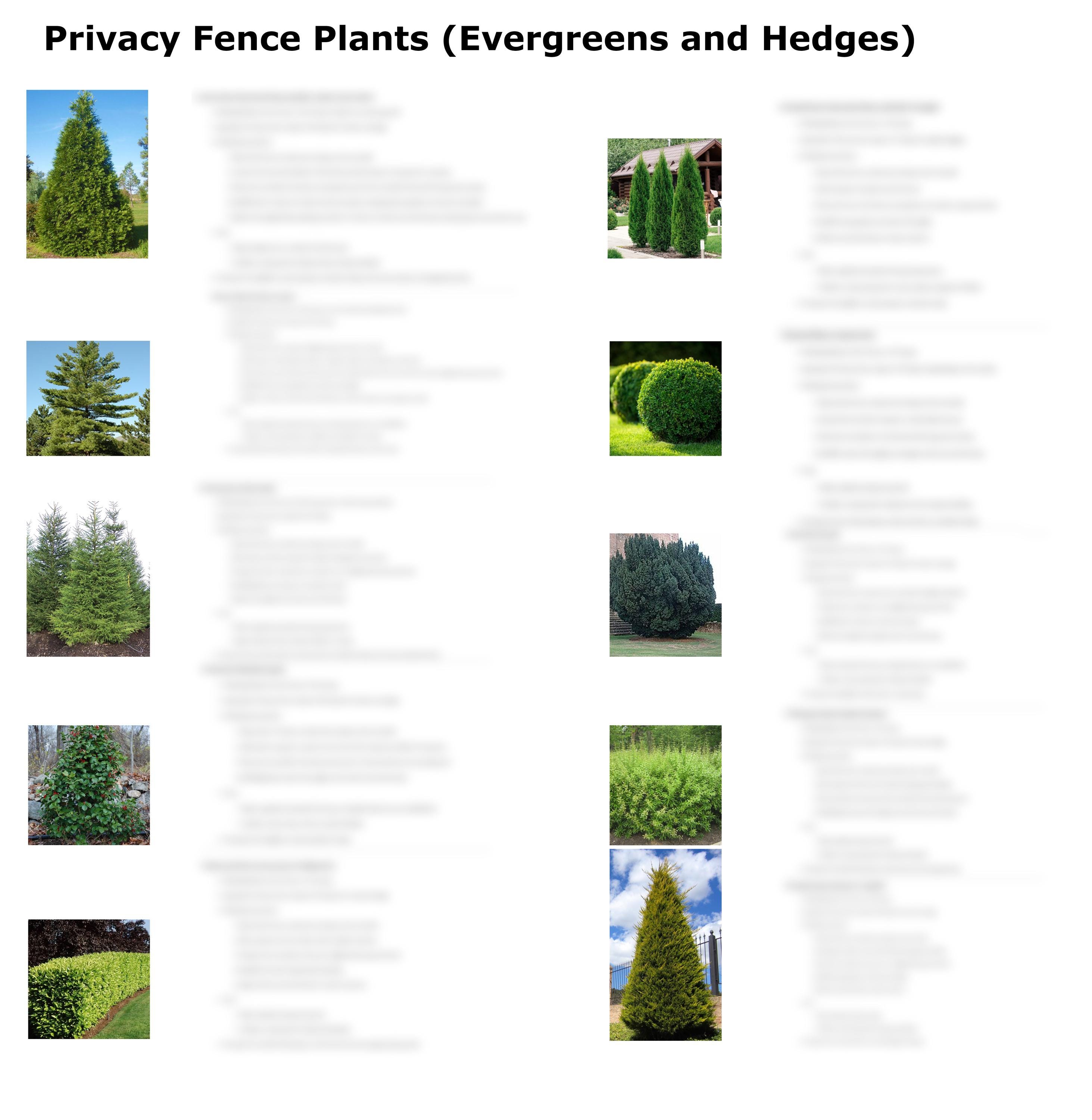 Qué árboles plantar en otoño? : r/arborists, image size:2926x3000