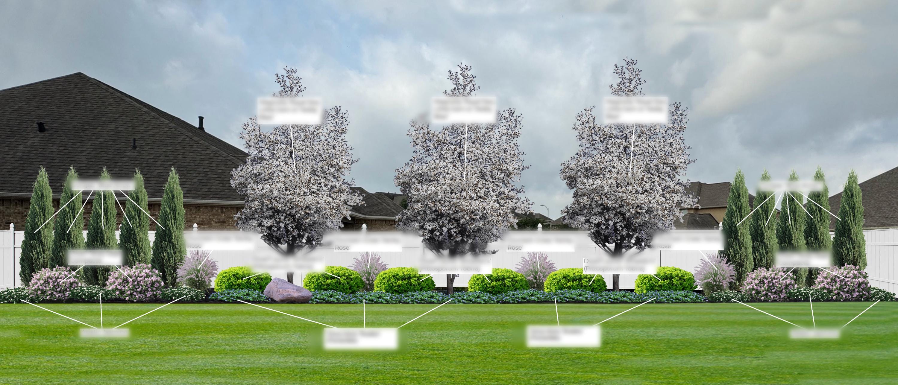 Zone 8-9 Premade Landscape Design, Privacy Wall Idea (digital