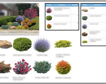 Premade Colorful Front Yard Landscape Design Zone 6–8 Low