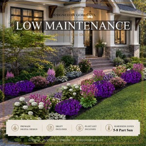 Low Maintenance Front Yard Landscape Plan | Premade Garden Design (Digital Download)