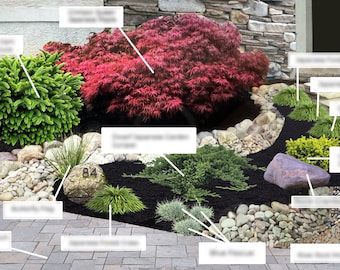 il_340x270.5984334458_epug.jpg