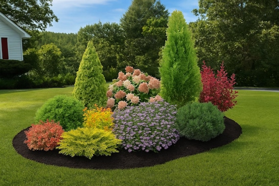 Evergreen Landscape Design for Zones 5-8 (digital Download) - Etsy