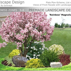 Premade Landscape Design, Landscape Berm, Zone 5-8 Berm, Round Berm Garden, Magnolia Garden Berm, Round Small Landscape Design