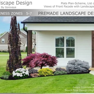 Paisagismo pronto para a Zona 5-7, Jardim Colorido, Faia-chorona, Design de Hortênsia, Ideia de Paisagismo para Jardim Frontal, Paisagismo do Lado Direito
