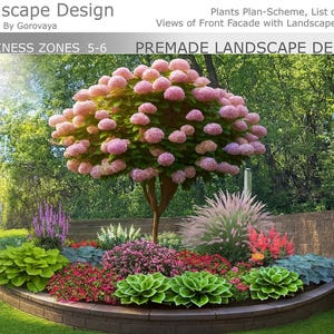 May include: A premade landscape design plan featuring a large central tree with pink hydrangea blooms, surrounded by various green hostas, purple lavender, and red flowers in a raised brick garden bed, with text reading Landscape Design.