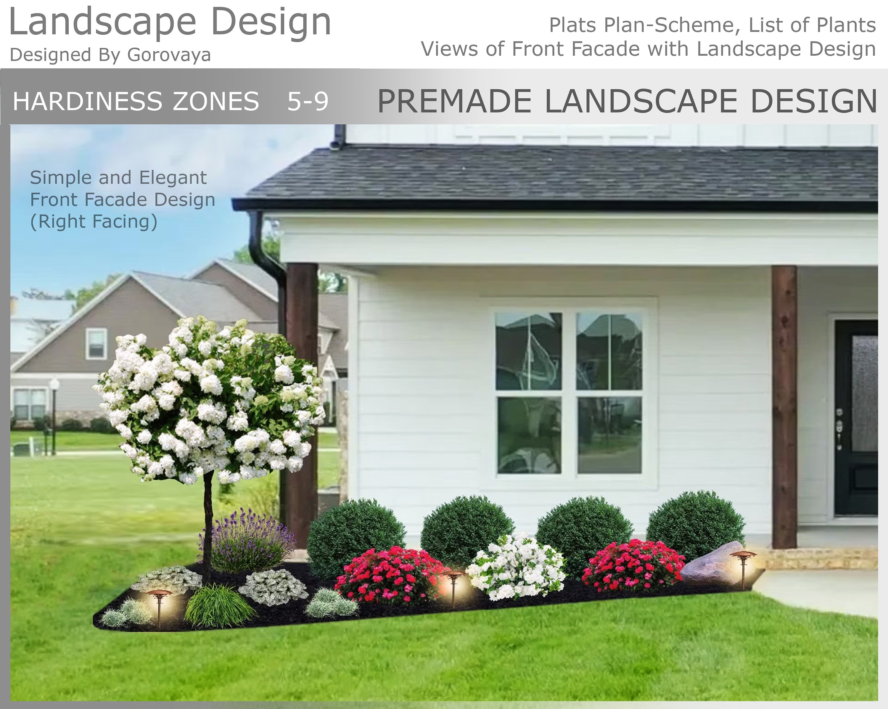 Ready-Made Landscape, Limelight Hydrangea Tree Design, Zone 5-9 Landscape Design, Landscaping Ideas, Right Facing Landscape Design