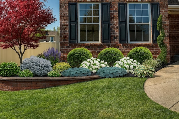 Zone 6-9 Landscape, Landscape Design, Landscape Layout, Plant List