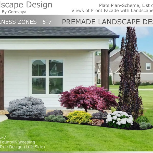 Ready-Made Zone 5-7 Landscape Design, Purple Fountain Weeping Beech Tree, Hydrangea Design, Front Yard Landscape Idea, New Build Landscape.