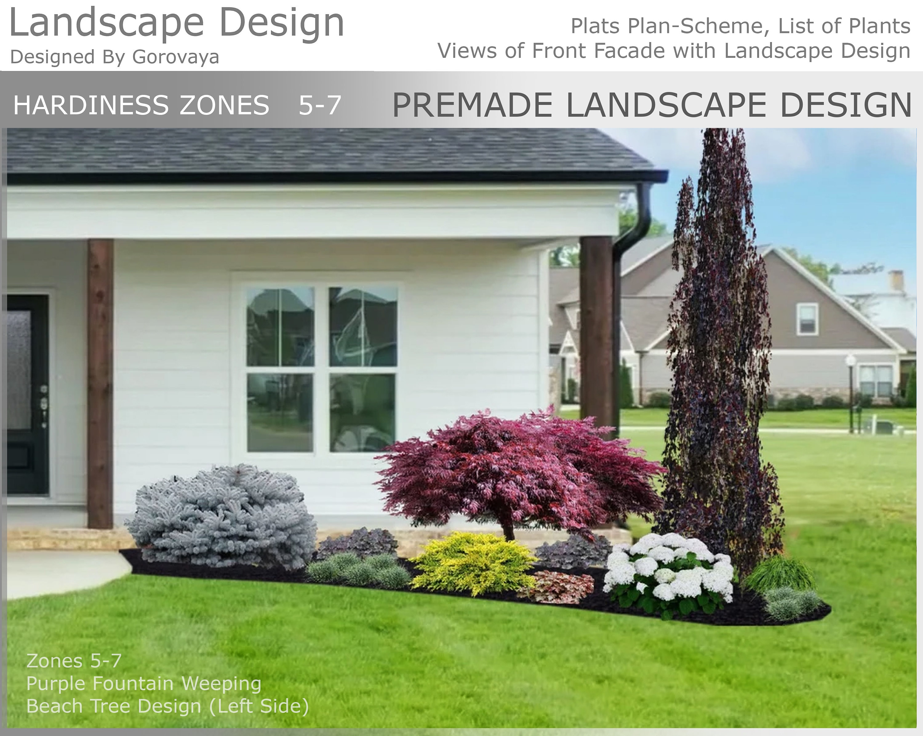 Ready-made Zone 5-7 Landscape Design, Purple Fountain Weeping Beech Tree,  Hydrangea Design, Front Yard Landscape Idea, New Build Landscape. - Etsy, image size:3000x2395