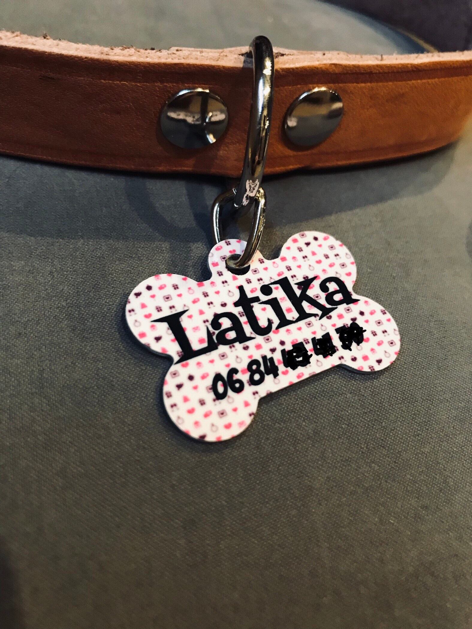 Médaille d'identification Pour Chiens