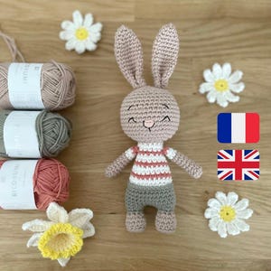 Peut inclure: Une poupée lapin au crochet avec une tête et des oreilles roses, portant un haut rayé rouge et blanc et un short gris. L'image montre également des pelotes de laine et des fleurs au crochet.