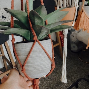 May include: A terracotta colored macrame plant hanger with a green succulent plant in a gray pot. The hanger is hanging from the ceiling and the plant is being held by a hand. The time is 9:55:30 AM on 11/11/20.