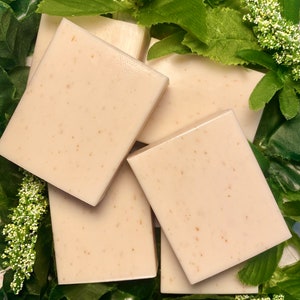 Oatmilk & Prickly Pear Cactus Soap Bar