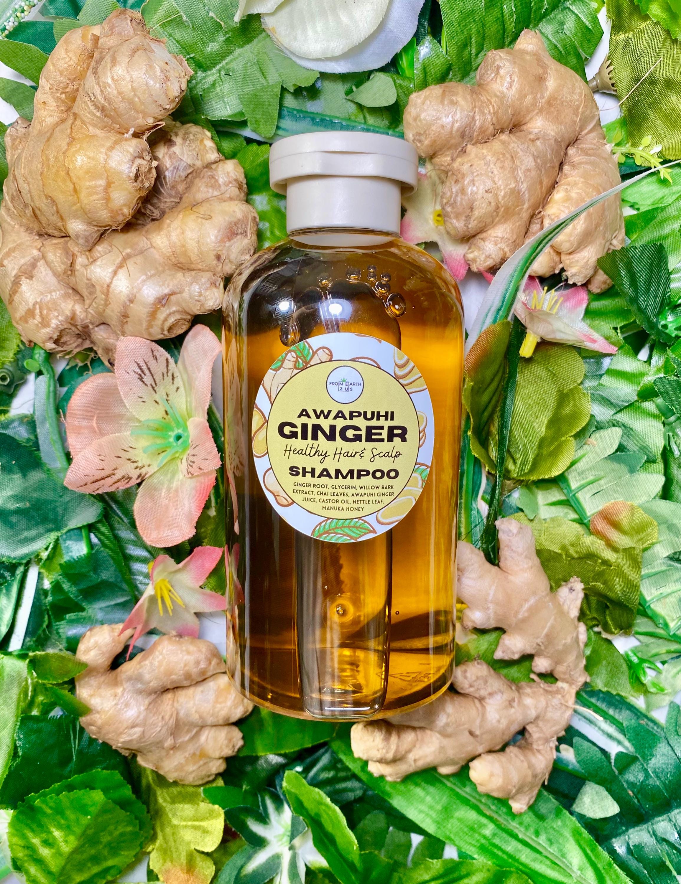 Awapuhi Ginger Natural Shampoo for Healthy Hair 14 Ounces - Etsy
