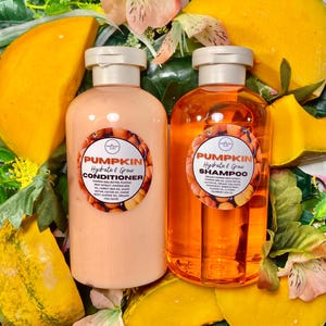 Pumpkin & Agave Nectar Natural Vegan Shampoo + Conditioner Set for Healthy Hair 14 ounces each