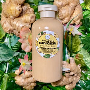 Awapuhi Ginger Natural Conditioner for Healthy Hair 14 ounces