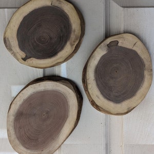 3 Walnut Charcuterie Boards Cookies