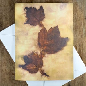 Botanical Nature Art Ecoprint Notecard: Three Red Maple Leaves