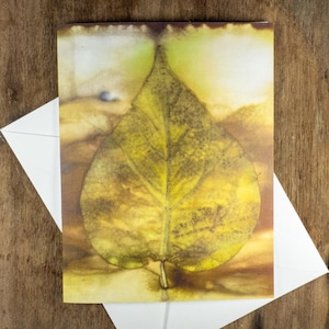 Botanical Nature Art Ecoprint Notecard: Yellow Catalpa