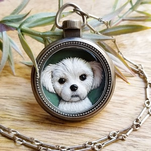 Dog locket for dogs new arrivals