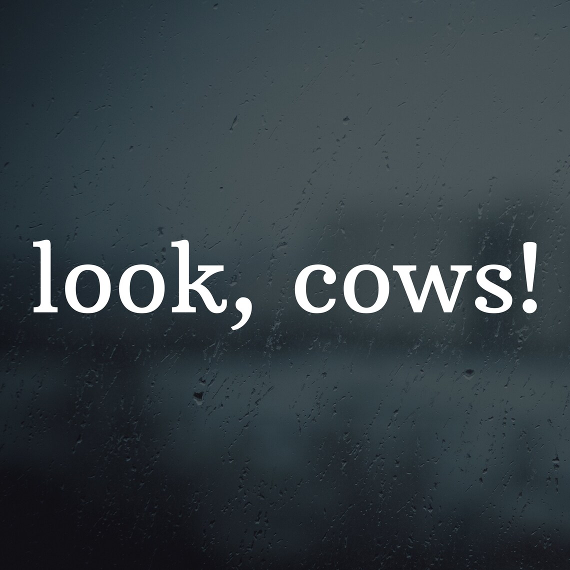 Look, Cows! Vinyl Decal Sticker, Bumper Sticker, Hood, Fender, Laptop ...