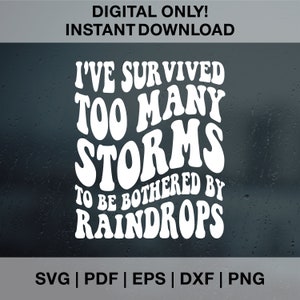 He sobrevivido a demasiadas tormentas para que me molesten las gotas de lluvia svg, svg motivacional, cita inspiradora svg, cita sarcástica svg, png positivo