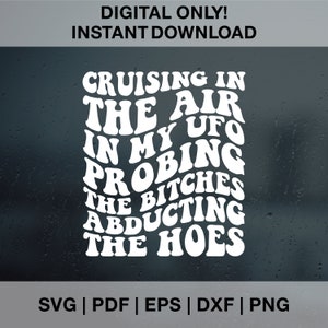 Crociera in aria nel mio UFO Png Svg, Alieni divertenti Ufo Svg, Divertente umorismo per adulti Svg, Citazione sarcastica, File di taglio sublimazione Png per donne forti