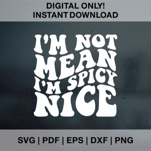 Non sono cattivo, sono piccante bello Svg, citazione divertente Svg, divertente adulto Svg, sarcasmo Png, sarcastico Svg, sarcastico Svg, design divertente Png, trendy Png