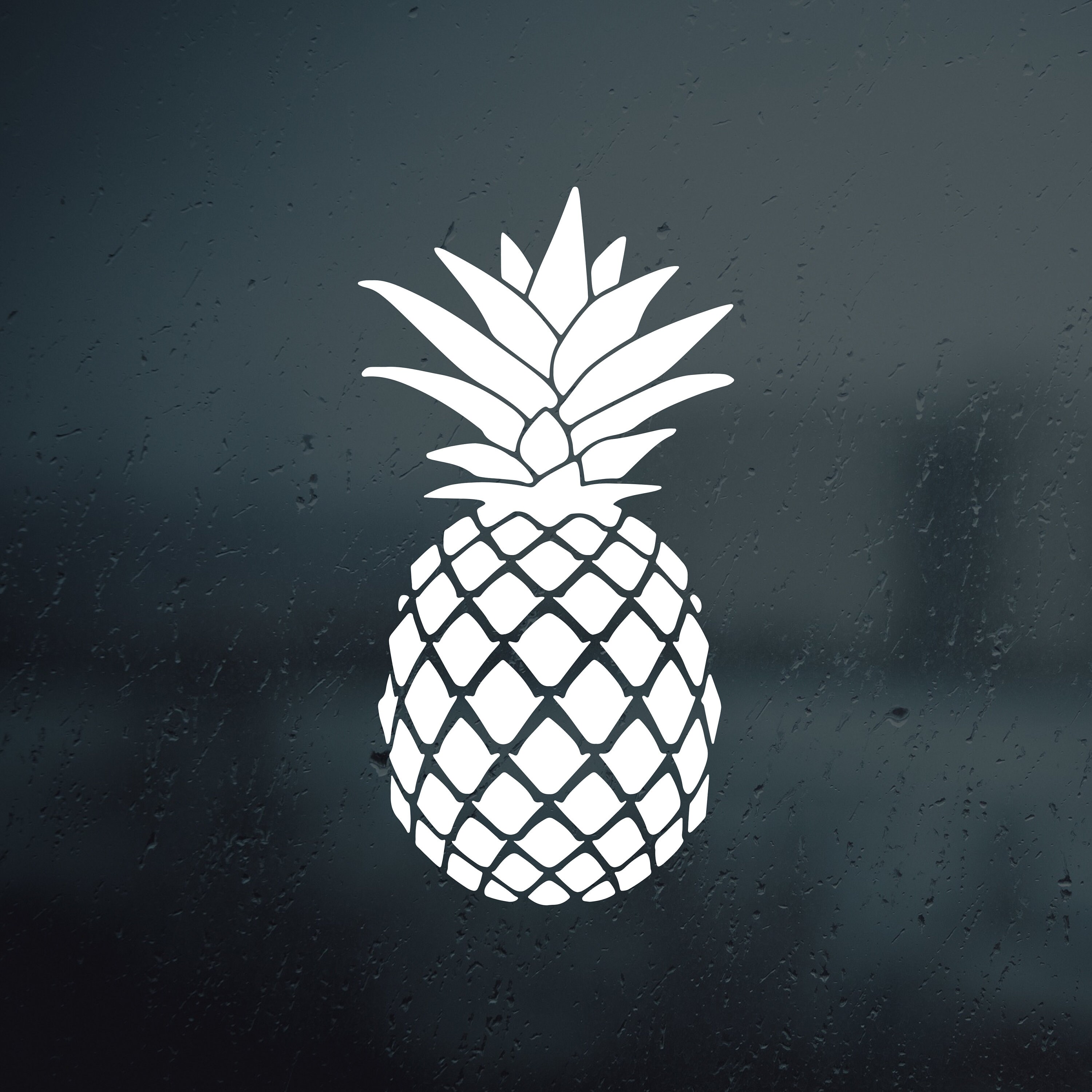 Your Choice of Size and Color Laptop Decal Pineapple Name Car Decal Patterned Sticker for Tumbler 