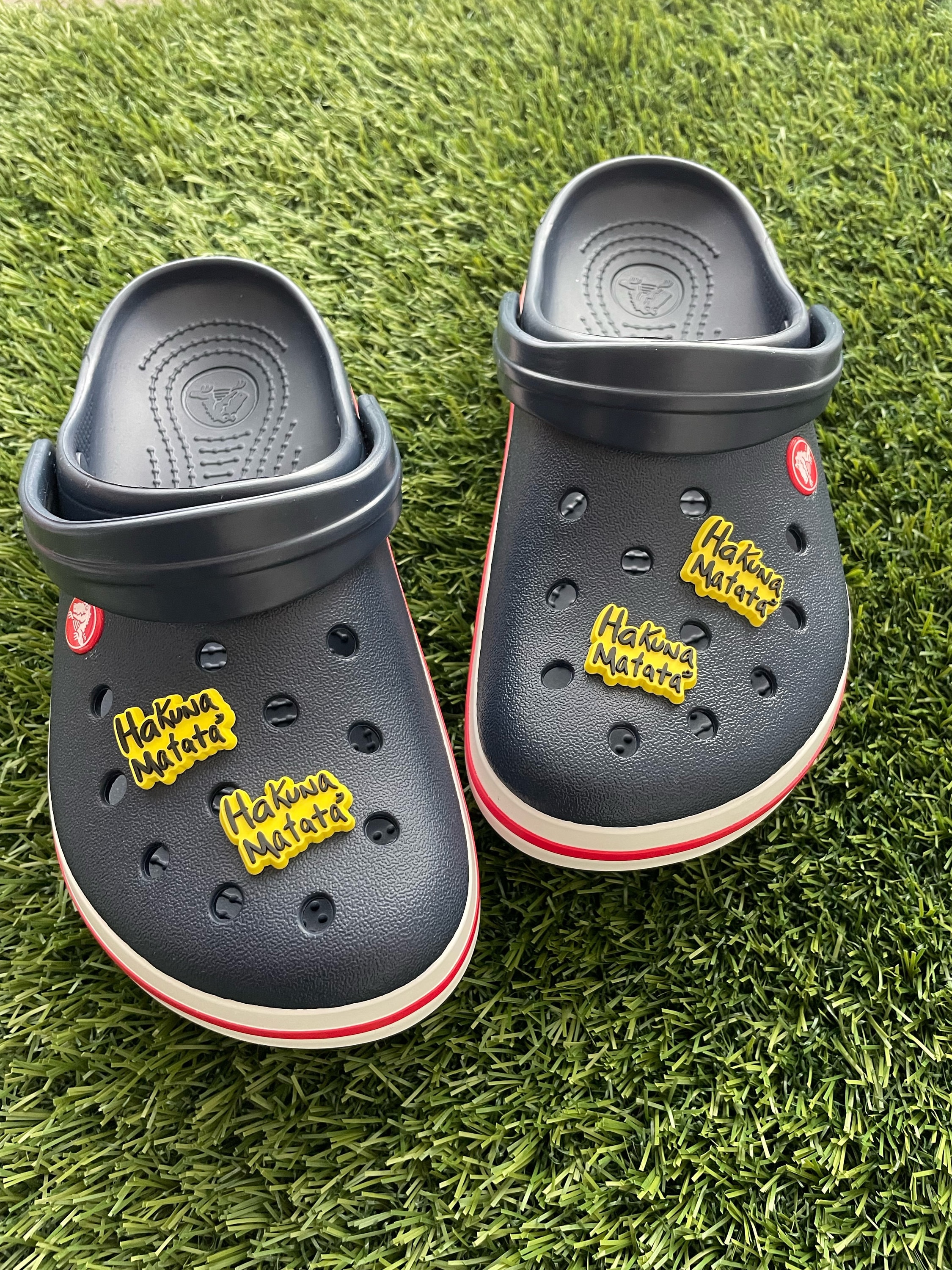 Lion King Croc Jibbitz