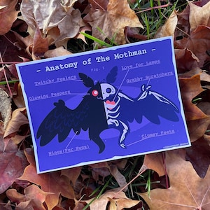 Anatomie de Mothman - carte postale 5x7