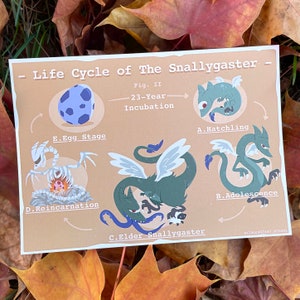 Cycle de vie du Snallygaster - Carte postale 5 x 7