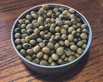 Hidatsa Soybean Seed | Edamame | Vegetable Seed | Cold Climate | Hardy Vegetables
