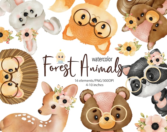 Forest Animal Watercolor Digital Clipart Woodland Creatures Etsy