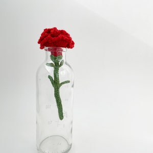 Puede incluir: Una flor de clavel roja de ganchillo con tallo verde en una botella de vidrio transparente con medidas.