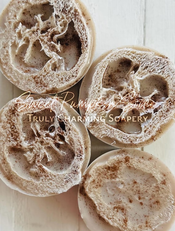 Sweet Pumpkin Spice Loofah Soap Bar, Fall Collection, Bridal Shower Favor