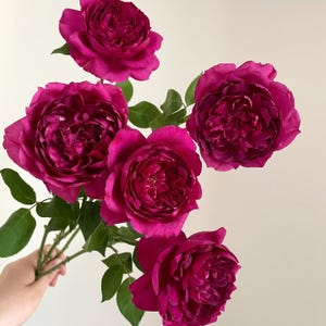 Rose Autumn Rouge US Seller 秋日胭脂