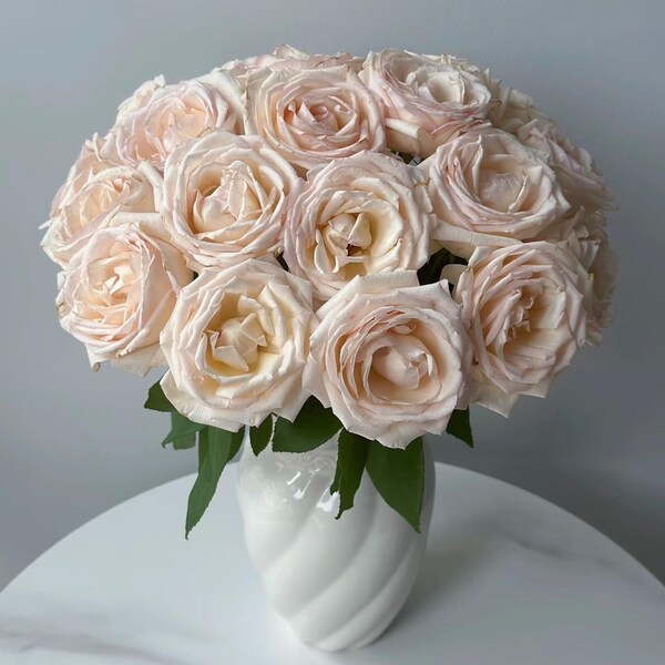 Rose Kaoruno US Seller 薰乃