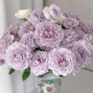 May include: A bouquet of lavender roses with a few white roses, arranged in a decorative vase. The roses have multiple layers of petals, and the vase has a floral design.