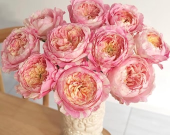 Mon Coeur 我的心モン クゥール Fragrance. Japanese Rose Continue