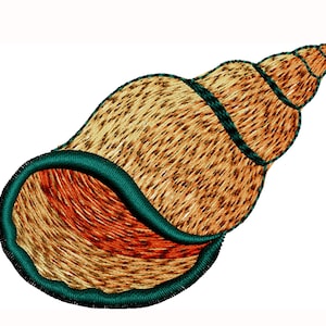 May include: A brown seashell with a teal green trim. The shell is spiraled and has a textured surface.
