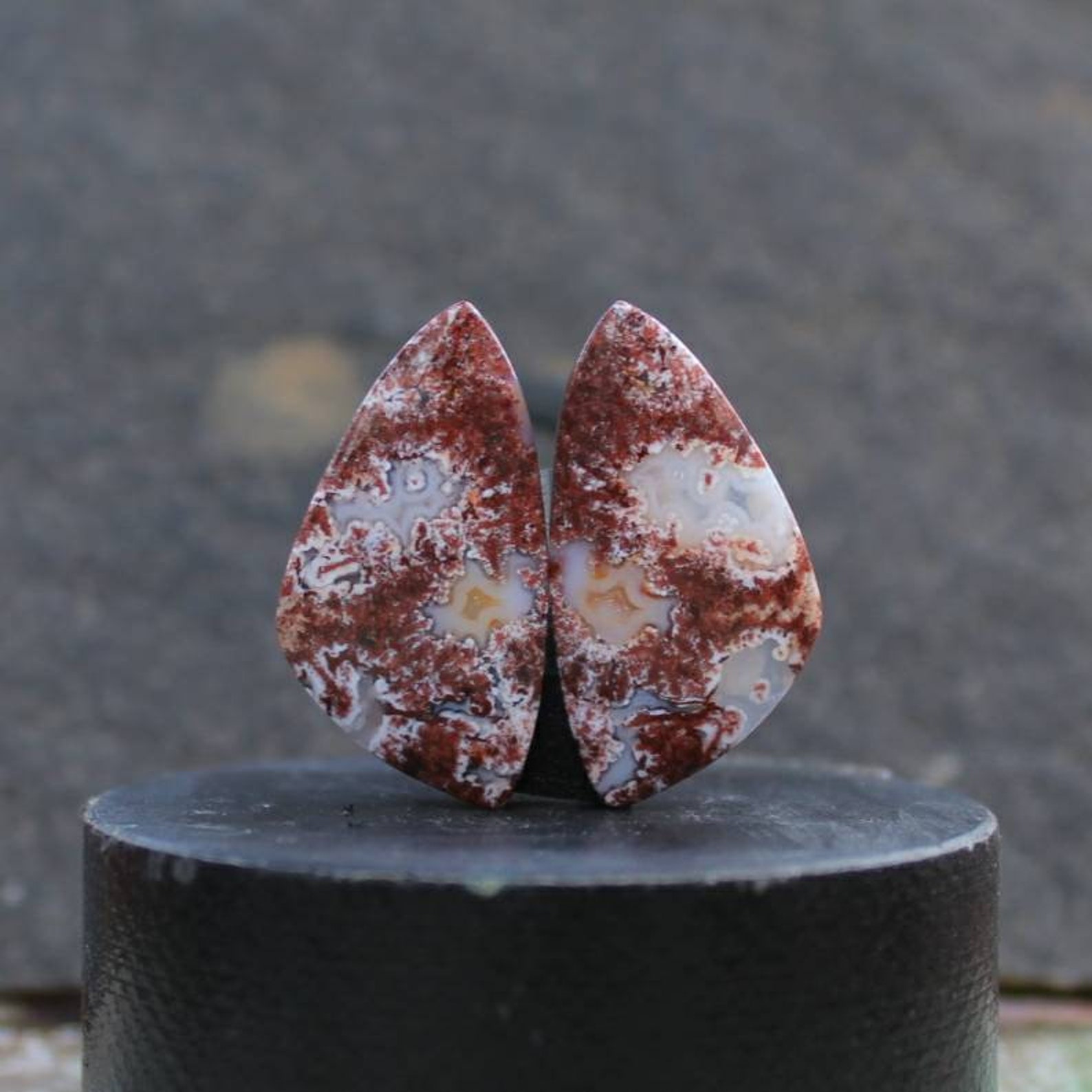 Plume Fossil coral pair Etsy