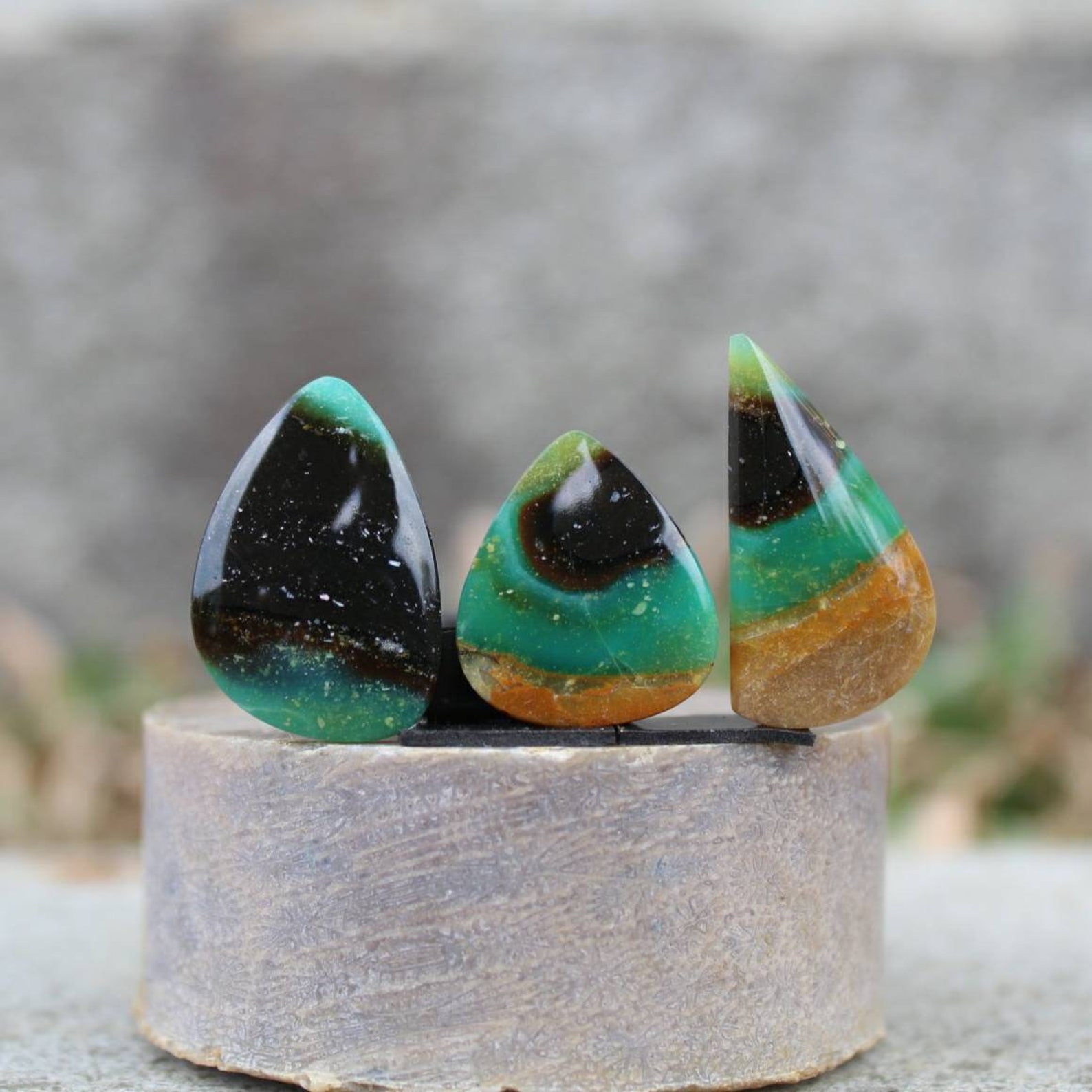 Opalized Wood Cabochon 3 Pcs Etsy